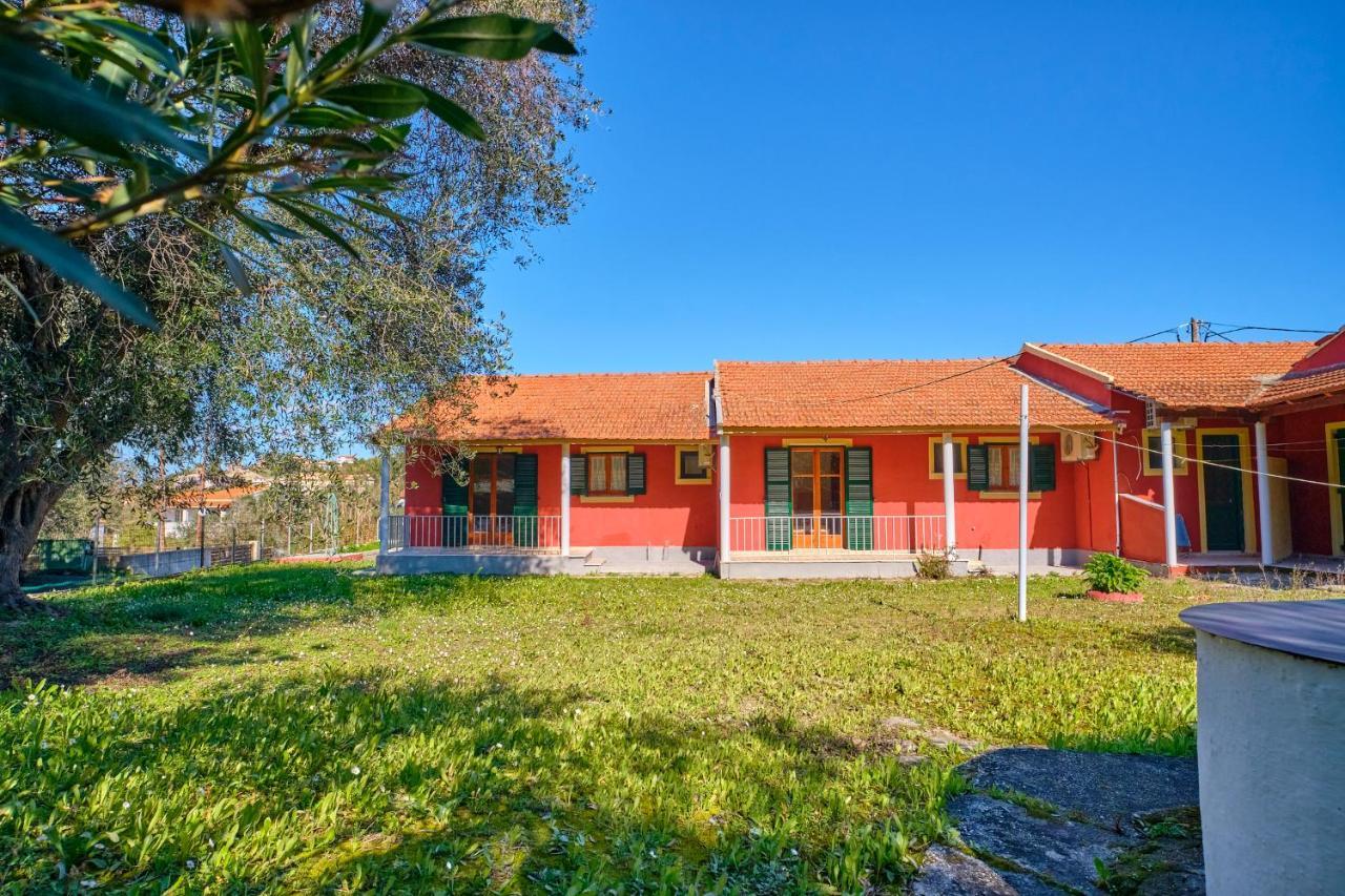 Theodora Apartments Agios Stefanos Corfu アギオス・ステファノス エクステリア 写真